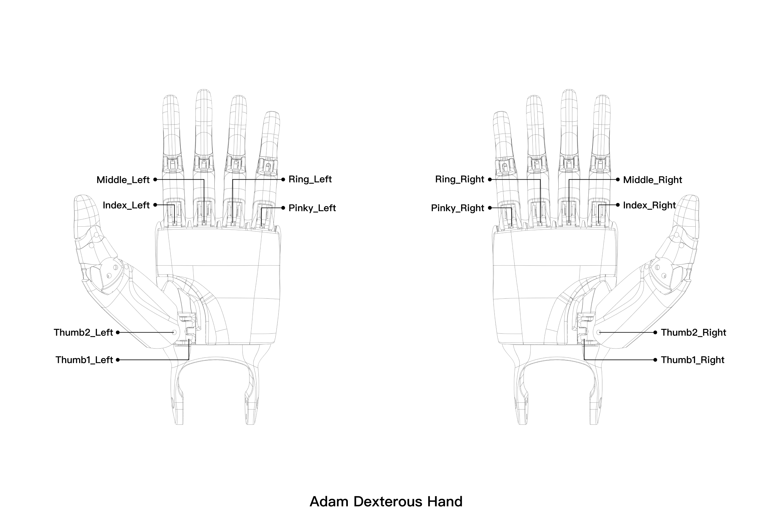 Adam Dexterous Hand