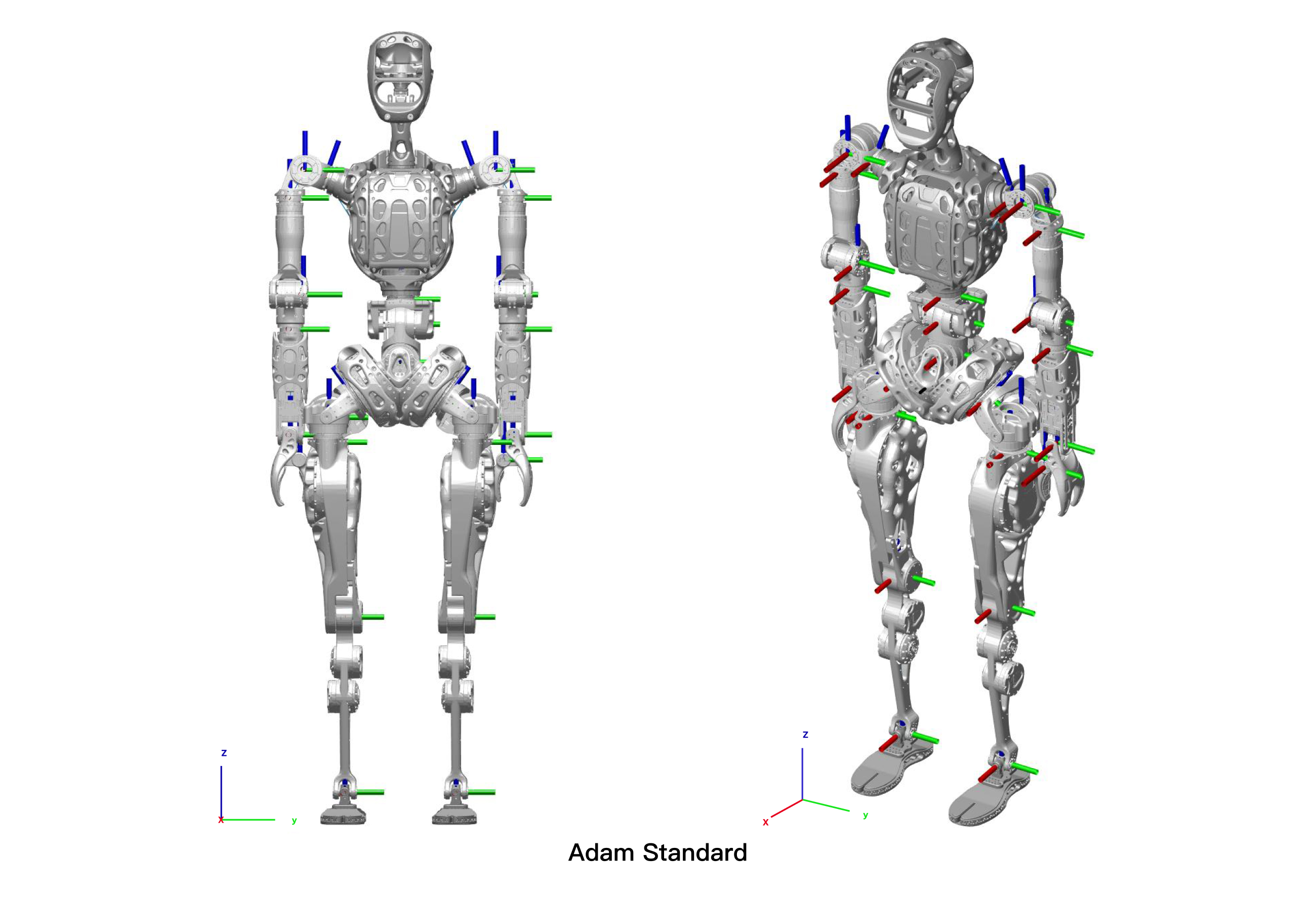 Adam Standard Cordinate