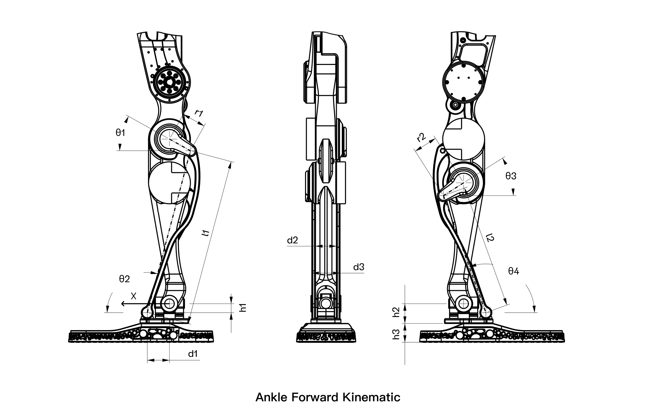 Ankle Forward Kinematic