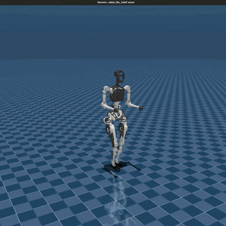 mujoco_adam_lite_12dof