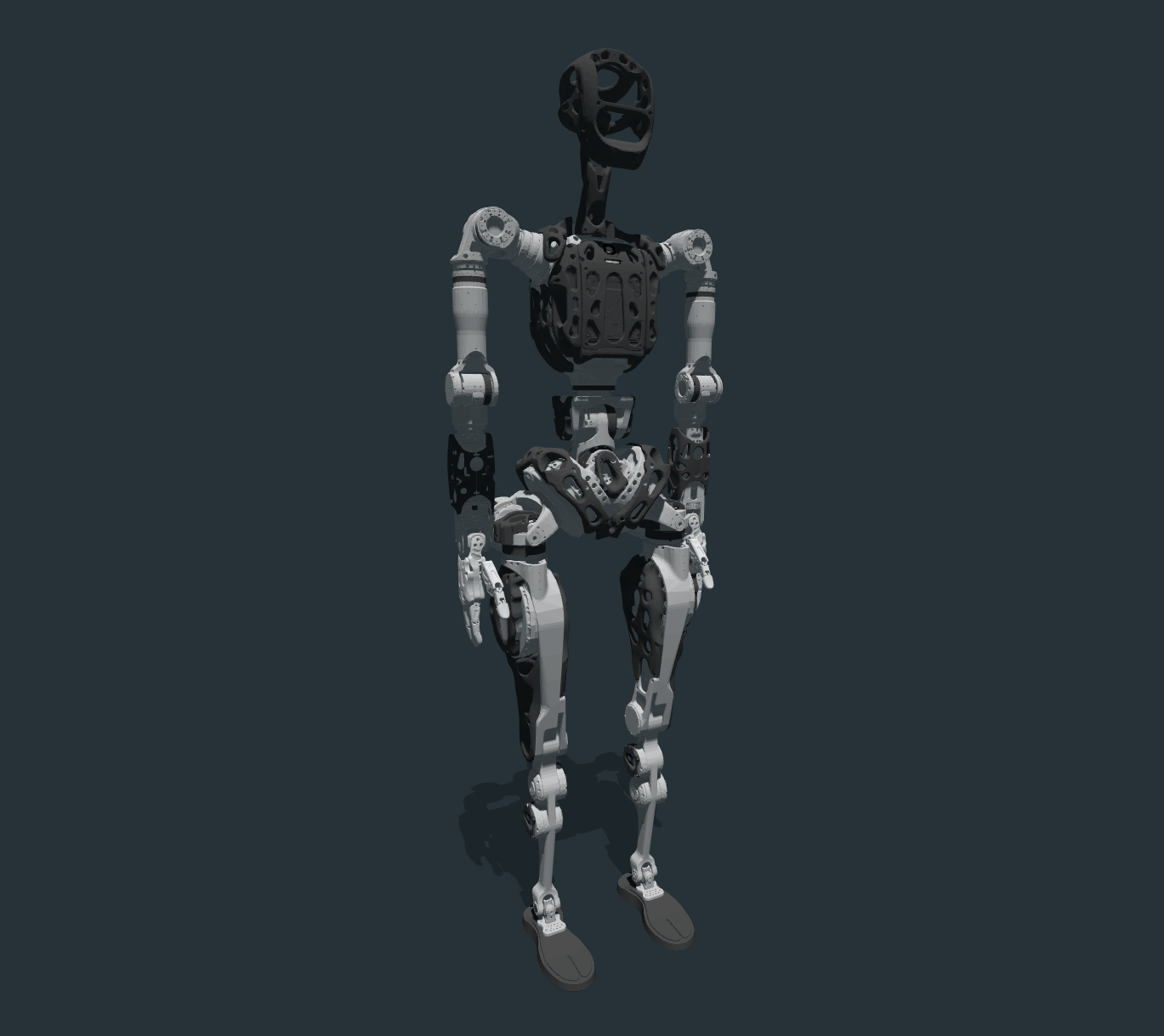 adam_sp image