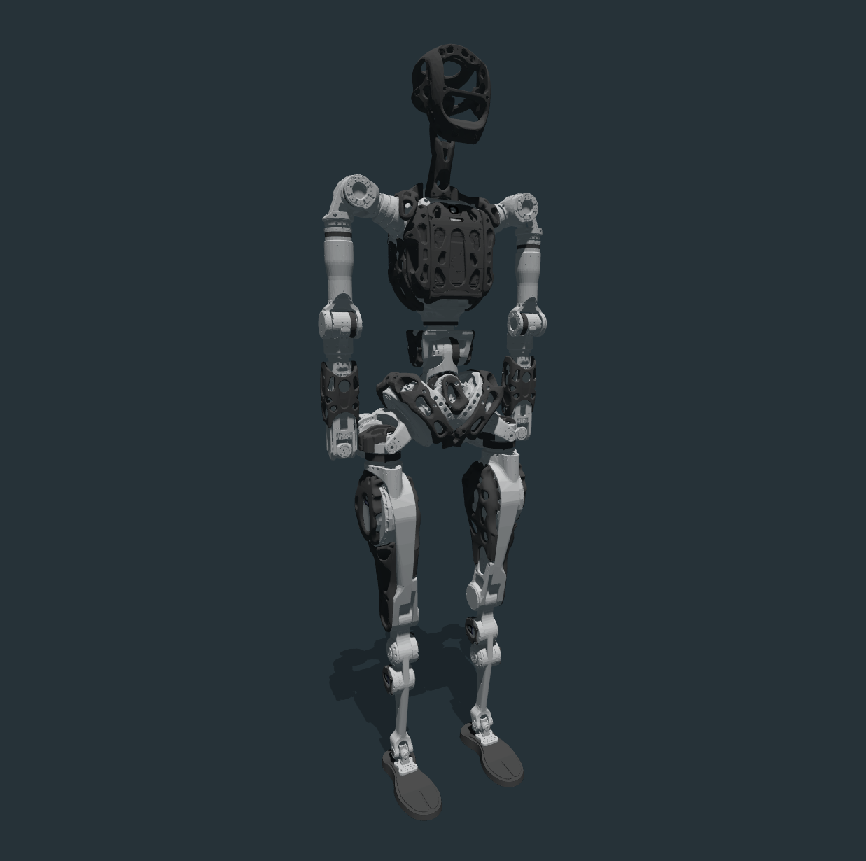 adam_standard image